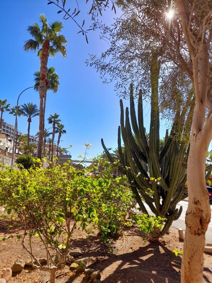 Апартаменты Vista Bella - Planta Baja Al Lado De La Piscina - Ground Floor By The Pool Плая-дель-Кура Экстерьер фото